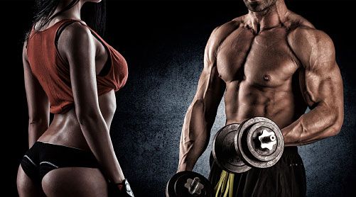 Personal Trainers